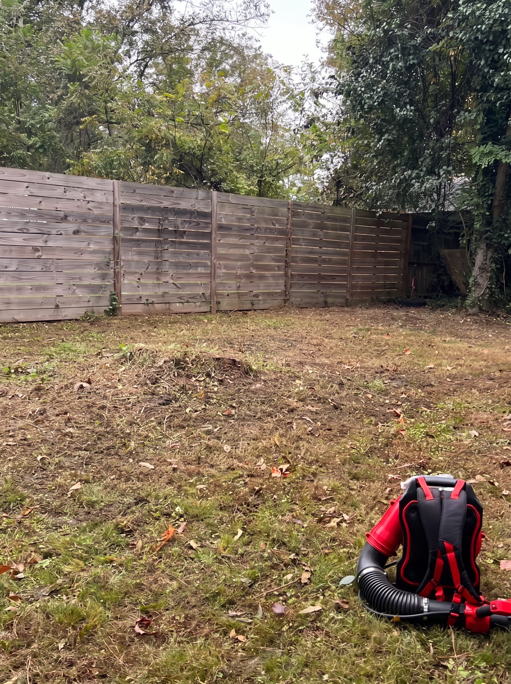 Raleigh backyard after a Just Right Services yard cleanup, with a backpack leaf blower resting on the lawn by a wooden fence